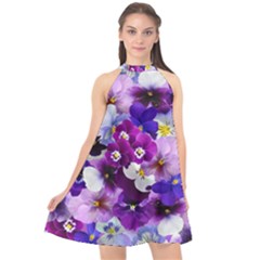 Pretty Purple Pansies Halter Neckline Chiffon Dress  by retrotoomoderndesigns