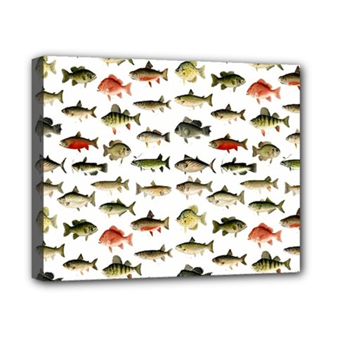 Ml 71 Fish Of North America Canvas 10  X 8  (stretched) by ArtworkByPatrick