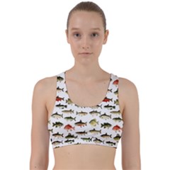 Ml 71 Fish Of North America Back Weave Sports Bra by ArtworkByPatrick