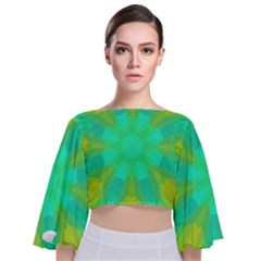 Kaleidoscope Background Tie Back Butterfly Sleeve Chiffon Top