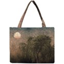 Willow At Sunset Mini Tote Bag View1