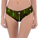 Zappwaits Reversible Classic Bikini Bottoms View1