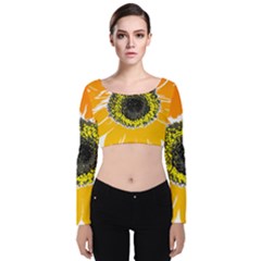 Sunflower Flower Yellow Orange Velvet Long Sleeve Crop Top by Mariart