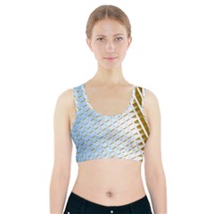 Diagonal Seamless Line Design Sports Bra With Pocket by LoolyElzayat