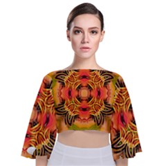 Fractals Graphic Fantasy Colorful Tie Back Butterfly Sleeve Chiffon Top