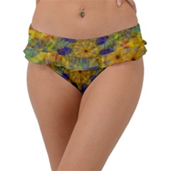 Farbenpracht Kaleidoscope Frill Bikini Bottom