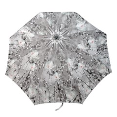 Blossoming Through The Snow Folding Umbrellas by WensdaiAmbrose