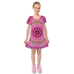 Flower Mandala Art Pink Abstract Kids  Short Sleeve Velvet Dress by Pakrebo