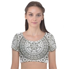 Vector Mandala Drawing Decoration Velvet Short Sleeve Crop Top 