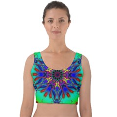 Fractal Art Pictures Digital Art Velvet Crop Top