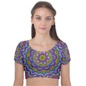 Farbenpracht Kaleidoscope Velvet Short Sleeve Crop Top  View1