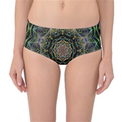 Fractal  Background Graphic Mid-waist Bikini Bottoms by Pakrebo