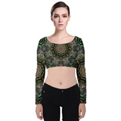 Fractal  Background Graphic Velvet Long Sleeve Crop Top by Pakrebo