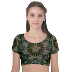 Fractal  Background Graphic Velvet Short Sleeve Crop Top  by Pakrebo