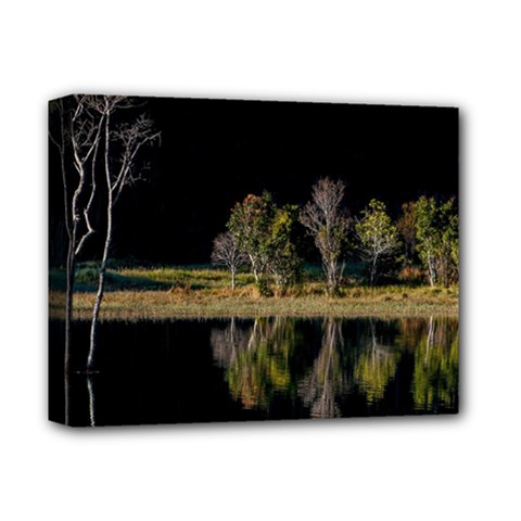 Soi Ball Symmetry Scenery Reflect Deluxe Canvas 14  X 11  (stretched) by Pakrebo