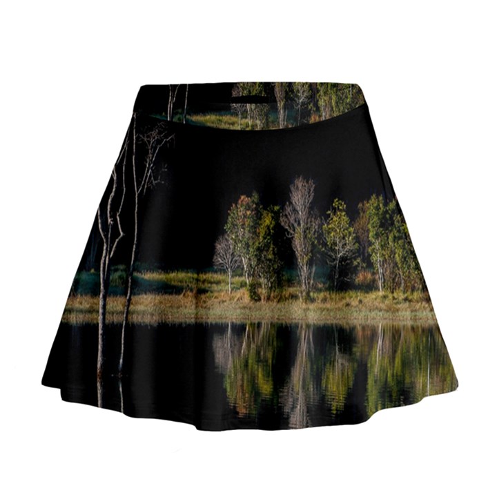 Soi Ball Symmetry Scenery Reflect Mini Flare Skirt