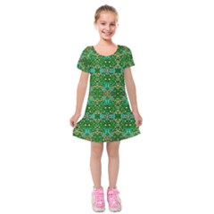 Met Plates 1 Kids  Short Sleeve Velvet Dress by ArtworkByPatrick