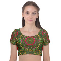 Background Image Pattern Velvet Short Sleeve Crop Top  by Pakrebo