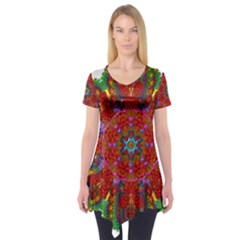 Mandala Fractal Graphic Design Short Sleeve Tunic  by Pakrebo