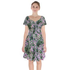 Ivy Lace Flower Flora Garden Short Sleeve Bardot Dress by Pakrebo