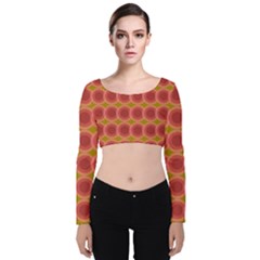 Zappwaits Retro Velvet Long Sleeve Crop Top by zappwaits