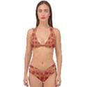 Zappwaits Retro Double Strap Halter Bikini Set View1