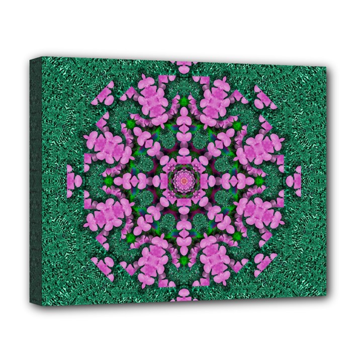 The Most Uniqe Flower Star In Ornate Glitter Deluxe Canvas 20  x 16  (Stretched)