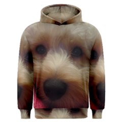 Bear Men s Overhead Hoodie