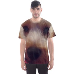 Bear Men s Sports Mesh Tee