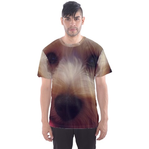 Bear Men s Sports Mesh Tee by pauchesstore