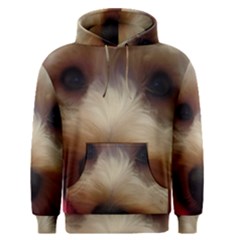 Bear Men s Pullover Hoodie