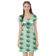 Aloe-ve You, Very Much  Short Sleeve Skater Dress by WensdaiAmbrose