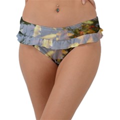 Koi Fish Pond Frill Bikini Bottom by StarvingArtisan