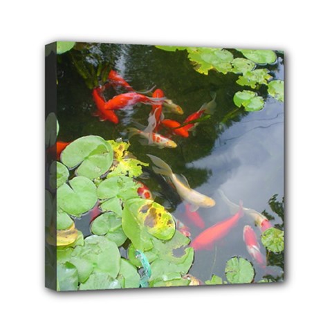 Koi Fish Pond Mini Canvas 6  X 6  (stretched) by StarvingArtisan