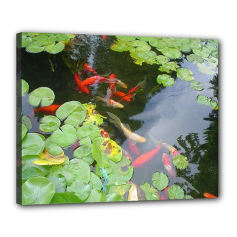 Koi Fish Pond Canvas 20  X 16  (stretched) by StarvingArtisan