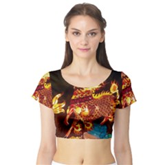 Dragon Lights Short Sleeve Crop Top