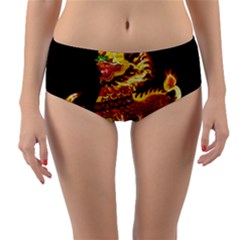 Dragon Lights Reversible Mid-waist Bikini Bottoms by Riverwoman