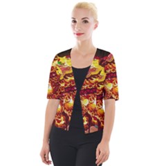 Dragon Lights Cropped Button Cardigan