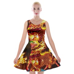 Dragon Lights Velvet Skater Dress