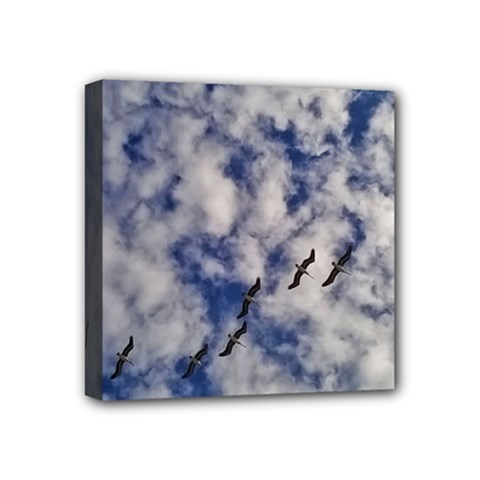 Pelicans In Flight Mini Canvas 4  X 4  (stretched) by StarvingArtisan