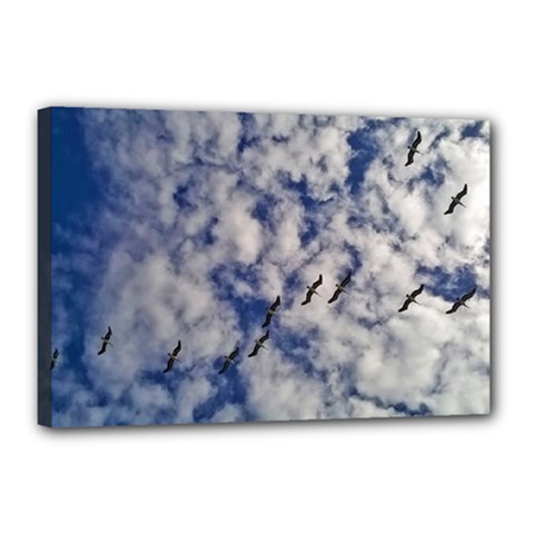 Pelicans In Flight Canvas 18  X 12  (stretched) by StarvingArtisan