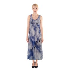 Pelicans In Flight Sleeveless Maxi Dress