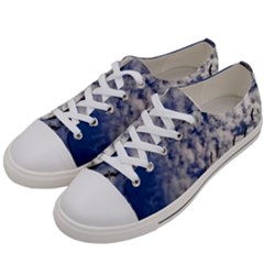 Pelicans In Flight Women s Low Top Canvas Sneakers by StarvingArtisan