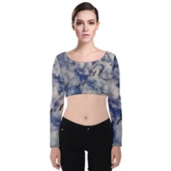 Pelicans In Flight Velvet Long Sleeve Crop Top by StarvingArtisan