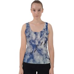 Pelicans In Flight Velvet Tank Top by StarvingArtisan