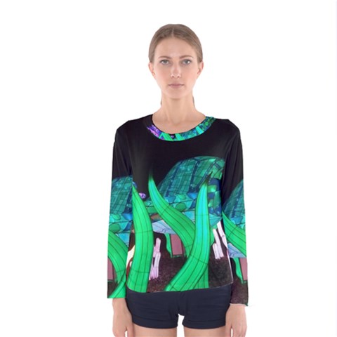 Dragon Lights Turtle Women s Long Sleeve Tee by Riverwoman