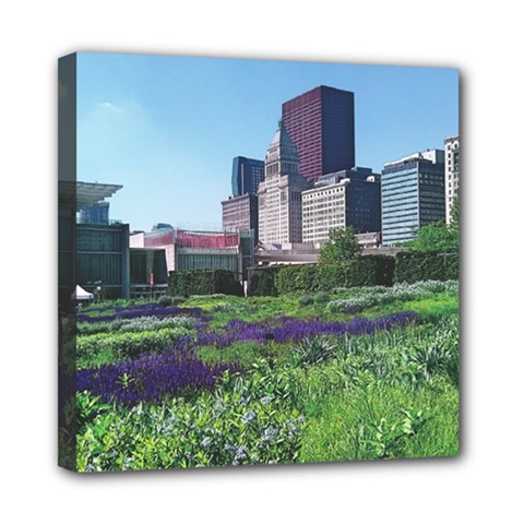 Lurie Garden Salvia River Mini Canvas 8  X 8  (stretched) by Riverwoman