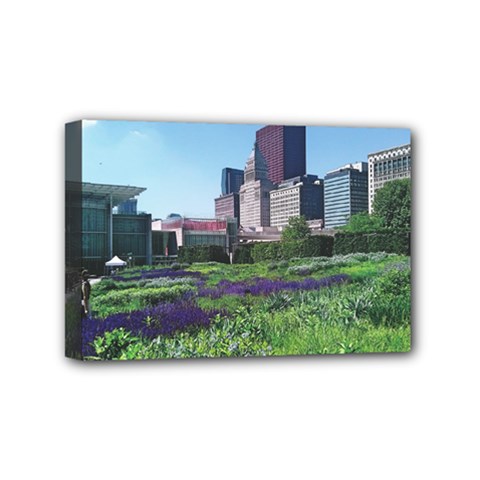 Lurie Garden Salvia River Mini Canvas 6  X 4  (stretched) by Riverwoman