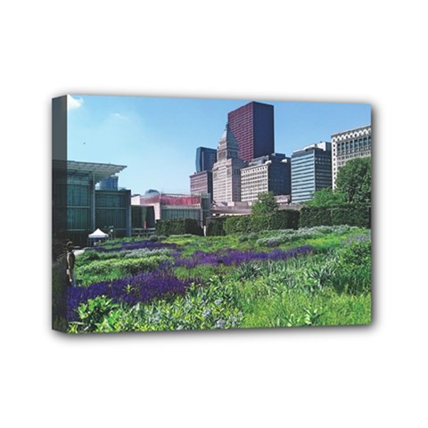 Lurie Garden Salvia River Mini Canvas 7  X 5  (stretched) by Riverwoman