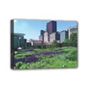 Lurie Garden Salvia River Mini Canvas 7  x 5  (Stretched) View1